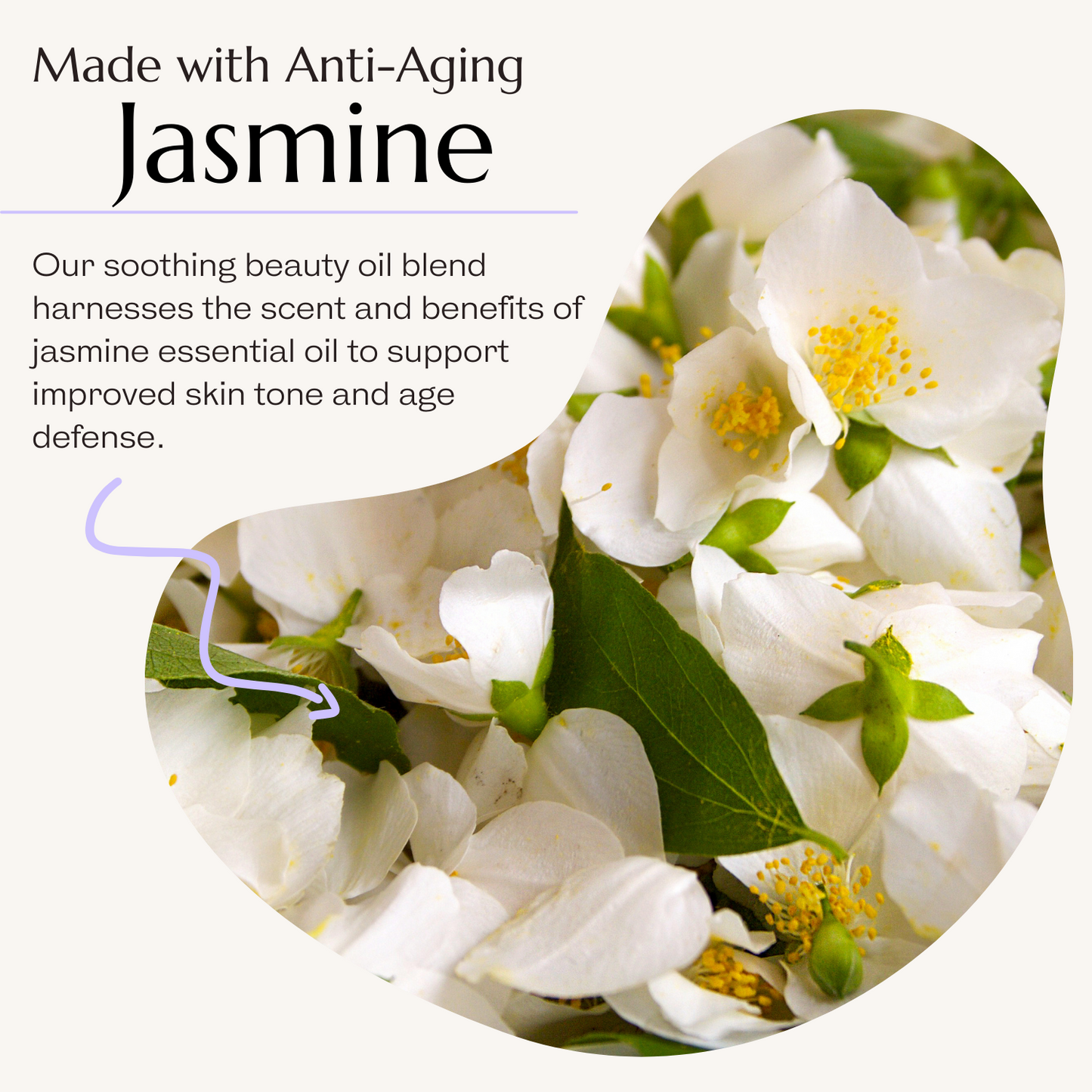 Jasmine Beauty Oil
